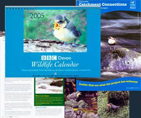 Examples of published work